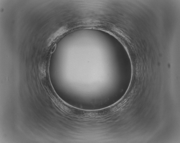 X0000067831451200604131149