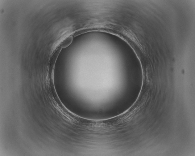 X0000067831452200604131149