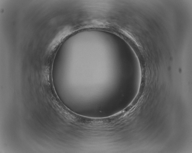 X0000067831455200604131149