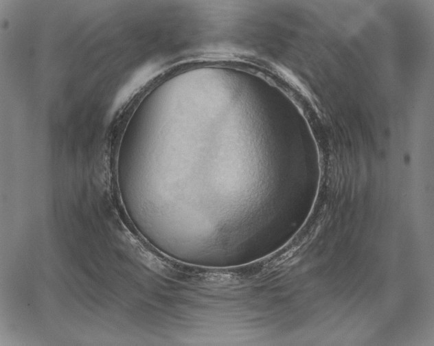 X0000067831456200604131149