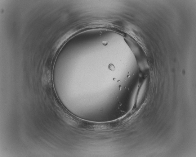 X0000067831465200604131149