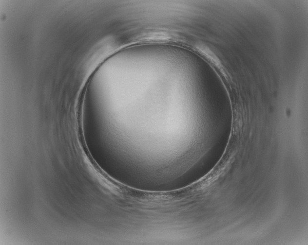 X0000067831475200604131148