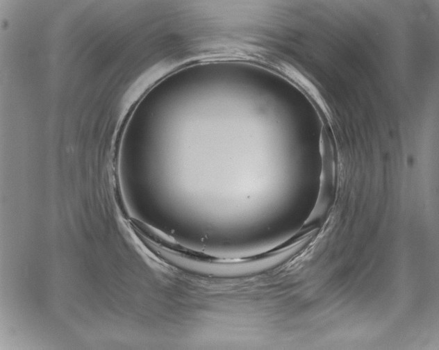 X0000067831485200604131148