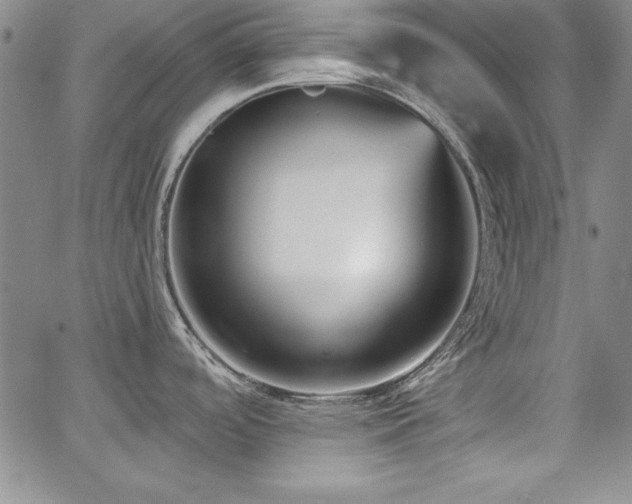 X0000067831488200604131148