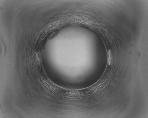X0000067831491200604131148