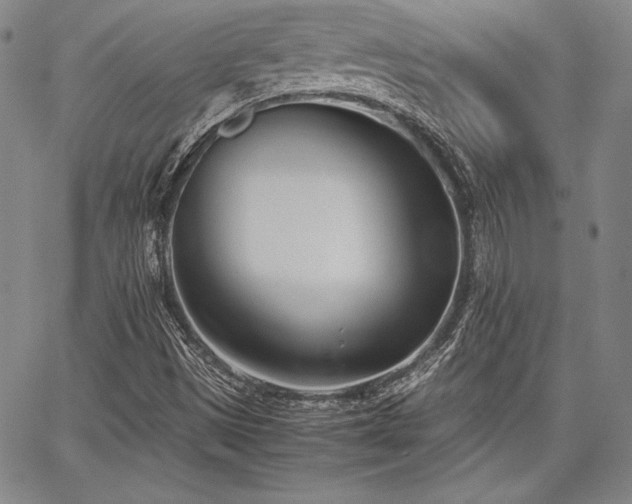 X0000067831497200604131148