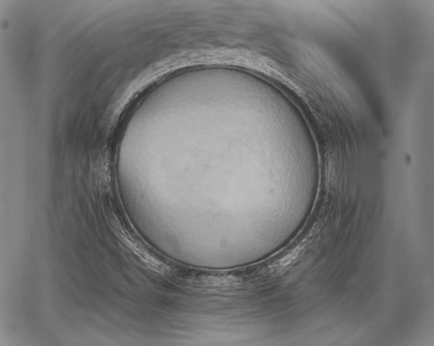 X0000067831498200604131148