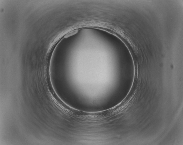 X0000067831500200604131148