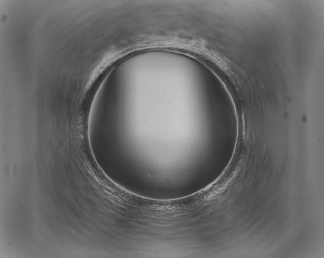 X0000067831501200604131148