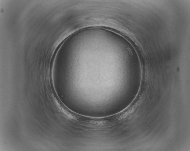 X0000067831513200604131148