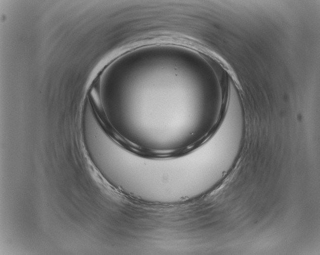 X0000067831530200604131148