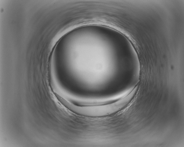 X0000067831534200604131148