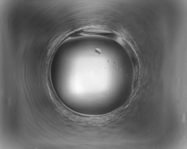 X0000067830001200604171139