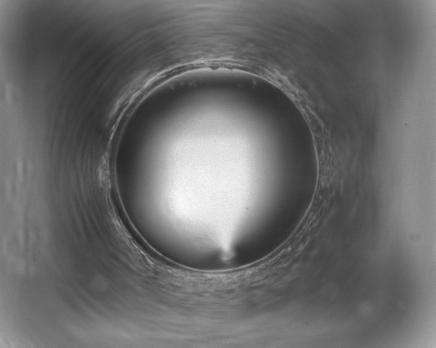 X0000067830002200604171139