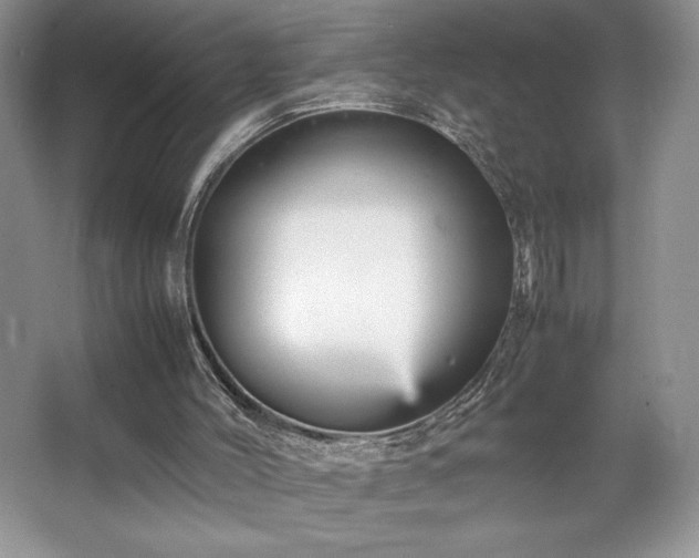 X0000067830004200604171139