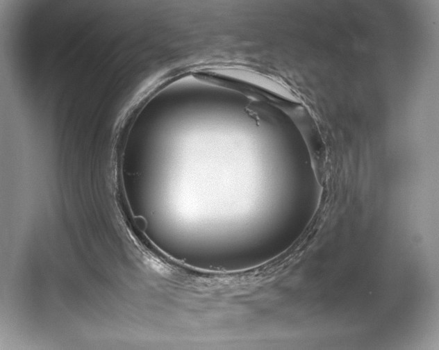 X0000067830005200604171139