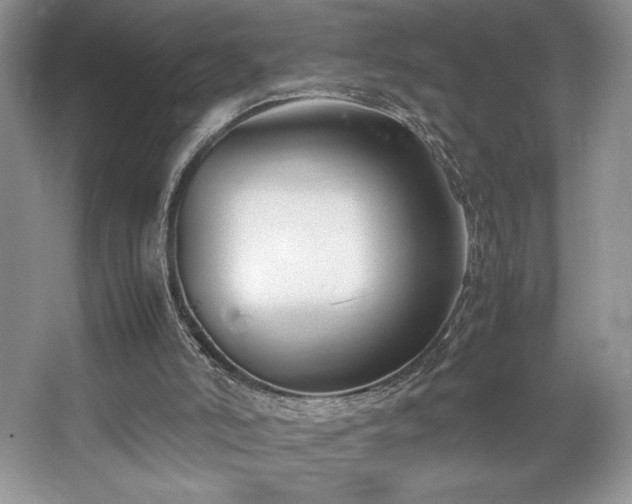 X0000067830006200604171139