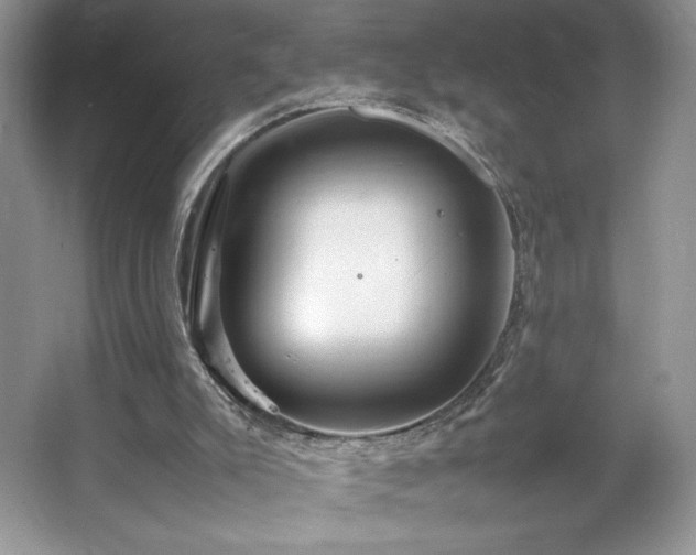 X0000067830007200604171139