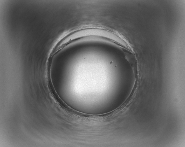 X0000067830008200604171139