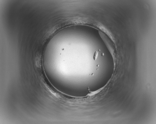 X0000067830009200604171139