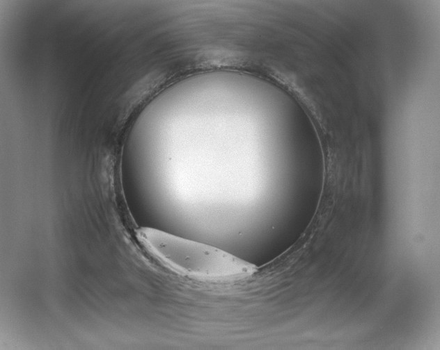 X0000067830010200604171139