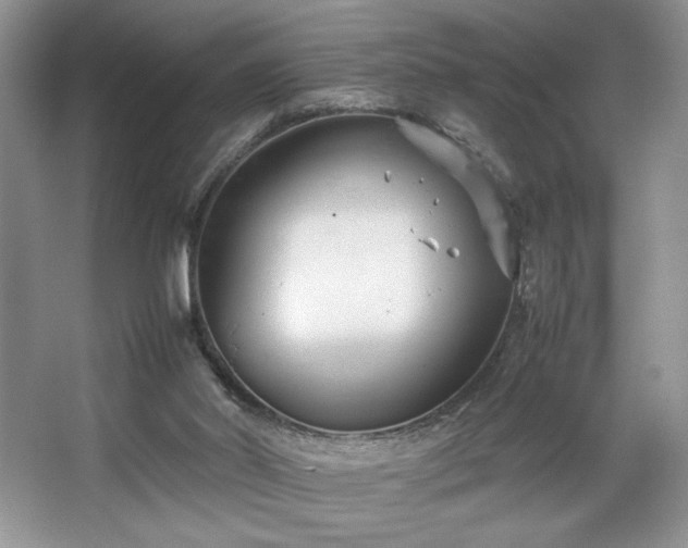 X0000067830014200604171139