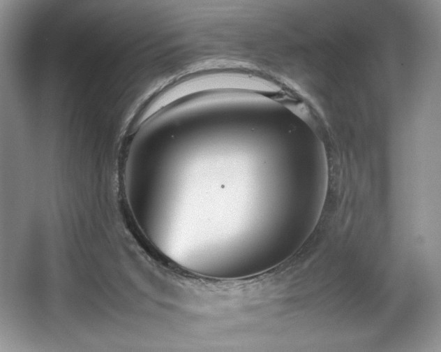 X0000067830015200604171139