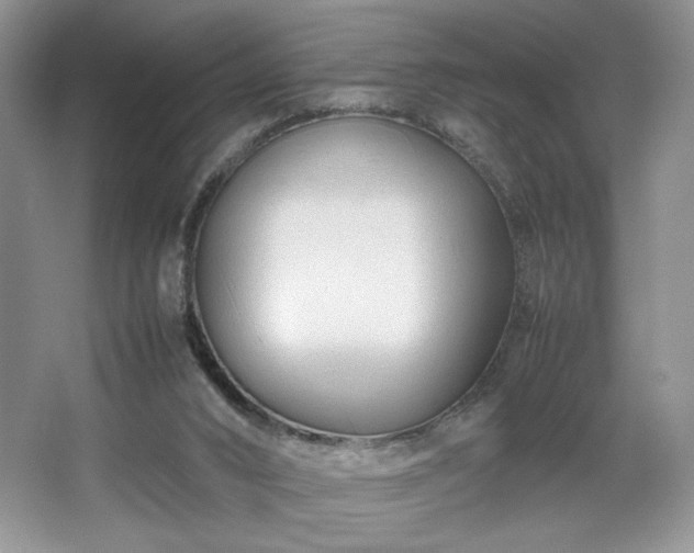 X0000067830016200604171139