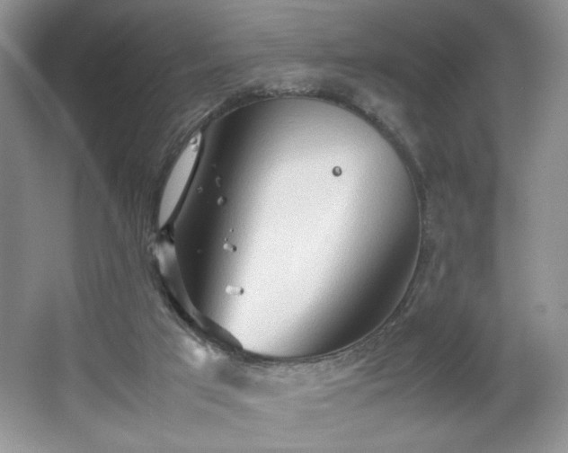 X0000067830017200604171139