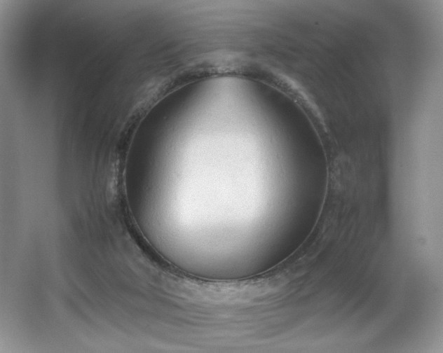 X0000067830018200604171139