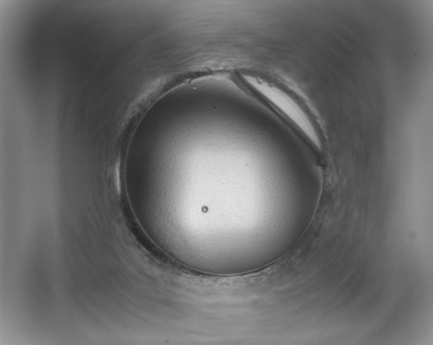 X0000067830019200604171139