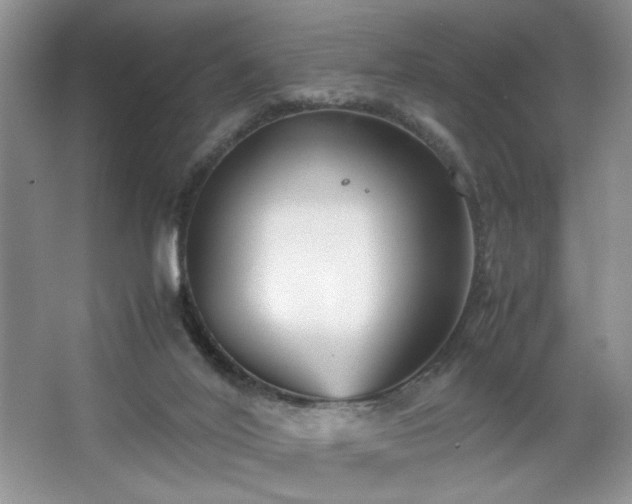 X0000067830020200604171139