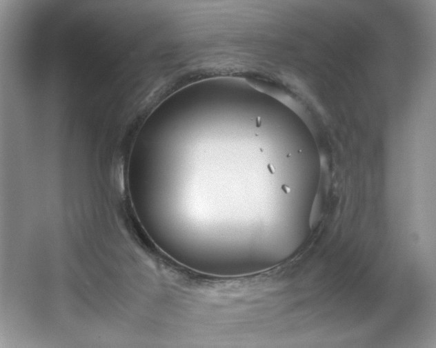 X0000067830021200604171138