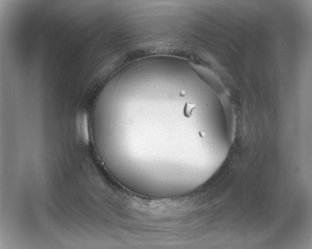 X0000067830022200604171138