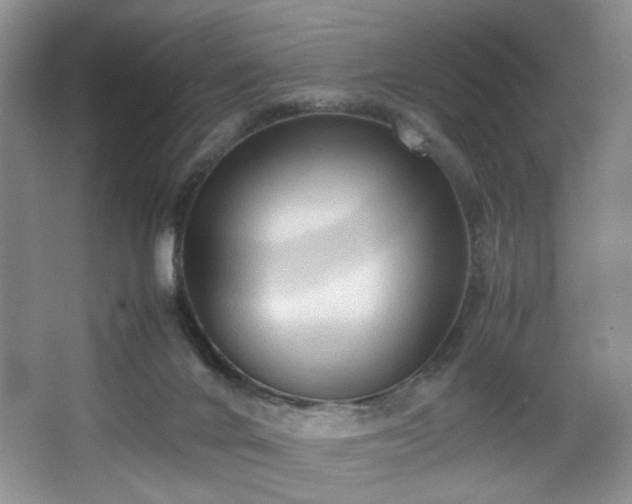 X0000067830024200604171138