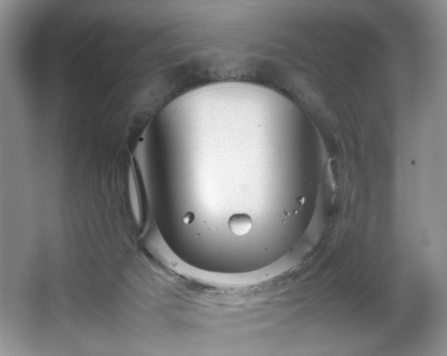 X0000067830025200604171138