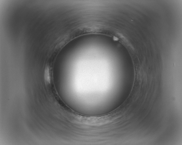 X0000067830026200604171138