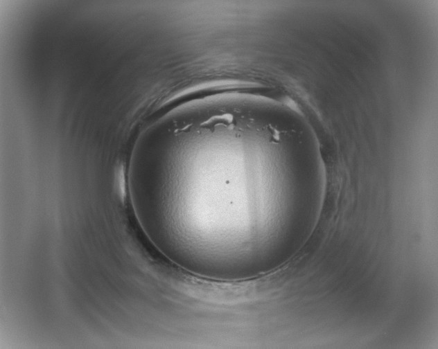 X0000067830027200604171138