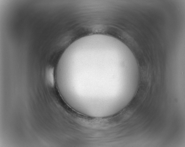 X0000067830028200604171138