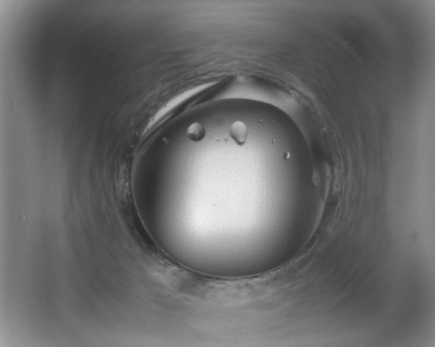 X0000067830029200604171138