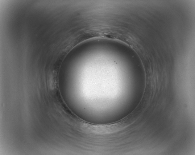 X0000067830030200604171138