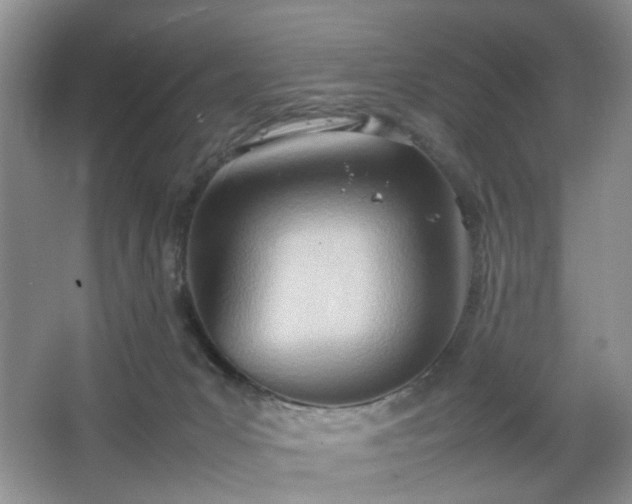 X0000067830031200604171138