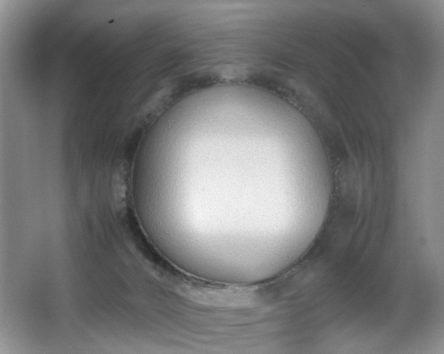 X0000067830032200604171138