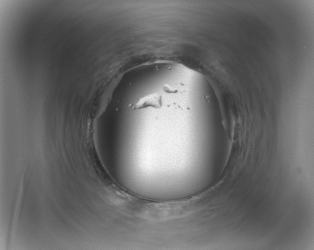 X0000067830033200604171138