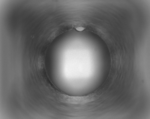 X0000067830034200604171138