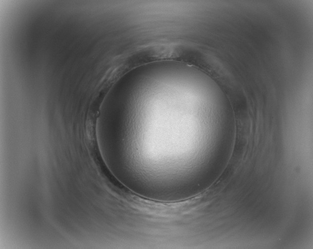 X0000067830035200604171138