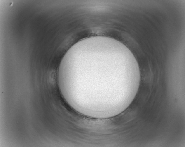 X0000067830036200604171138