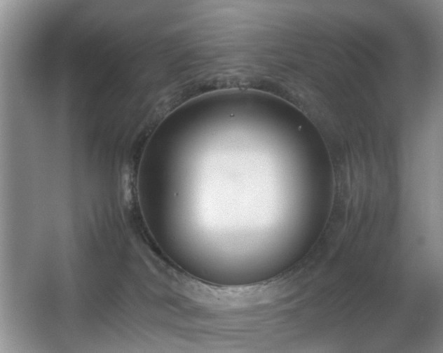 X0000067830038200604171138