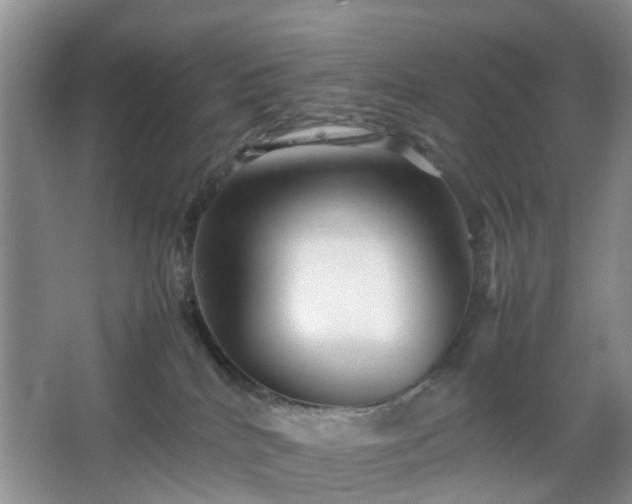 X0000067830040200604171138