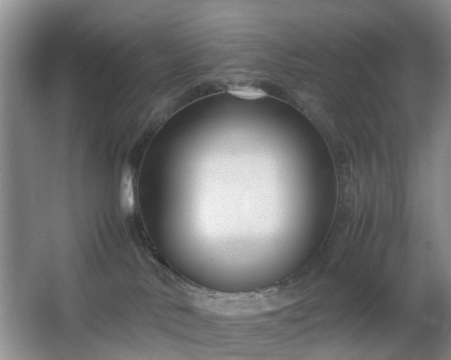 X0000067830042200604171138